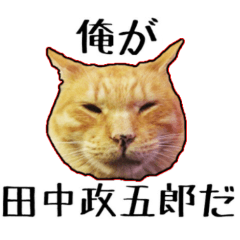 Mr.MASAGORO
