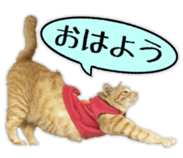 Mr.MASAGORO sticker #13878230