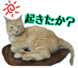 Mr.MASAGORO sticker #13878231