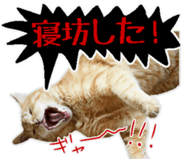 Mr.MASAGORO sticker #13878232