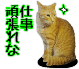 Mr.MASAGORO sticker #13878233