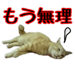 Mr.MASAGORO sticker #13878235