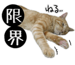Mr.MASAGORO sticker #13878236