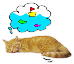 Mr.MASAGORO sticker #13878237