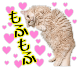 Mr.MASAGORO sticker #13878238