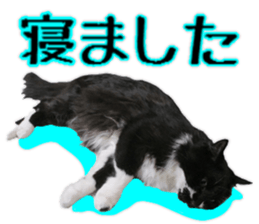 Mr.MASAGORO sticker #13878239