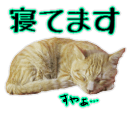 Mr.MASAGORO sticker #13878240