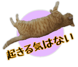 Mr.MASAGORO sticker #13878241