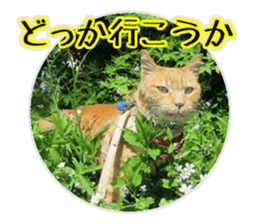 Mr.MASAGORO sticker #13878242