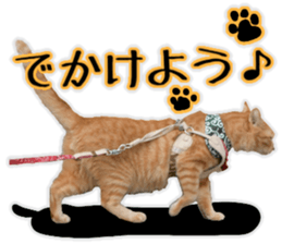 Mr.MASAGORO sticker #13878243