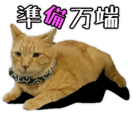 Mr.MASAGORO sticker #13878244