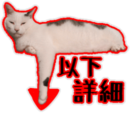 Mr.MASAGORO sticker #13878245