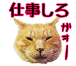 Mr.MASAGORO sticker #13878246