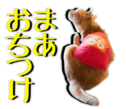 Mr.MASAGORO sticker #13878248