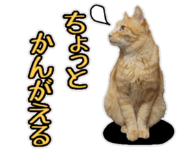 Mr.MASAGORO sticker #13878249