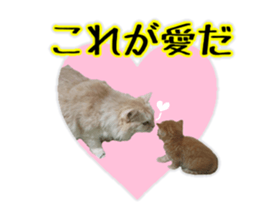 Mr.MASAGORO sticker #13878251