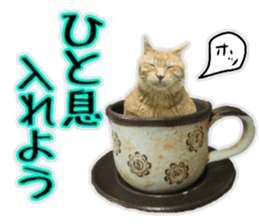 Mr.MASAGORO sticker #13878252