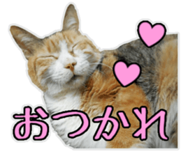 Mr.MASAGORO sticker #13878253