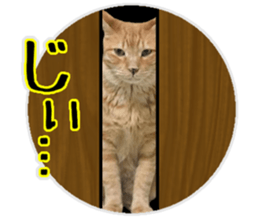 Mr.MASAGORO sticker #13878254