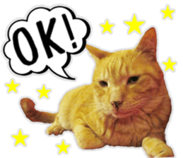 Mr.MASAGORO sticker #13878255