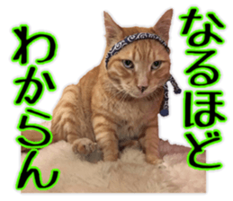Mr.MASAGORO sticker #13878258