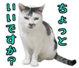 Mr.MASAGORO sticker #13878260