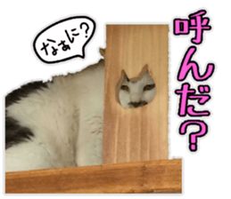 Mr.MASAGORO sticker #13878261