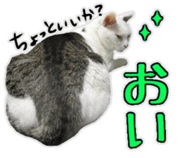 Mr.MASAGORO sticker #13878262