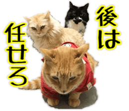 Mr.MASAGORO sticker #13878263