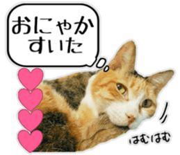 Mr.MASAGORO sticker #13878265