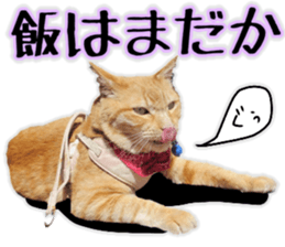Mr.MASAGORO sticker #13878266