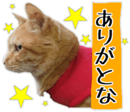 Mr.MASAGORO sticker #13878267