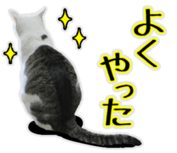 Mr.MASAGORO sticker #13878268