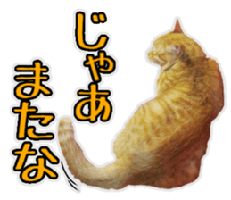 Mr.MASAGORO sticker #13878269
