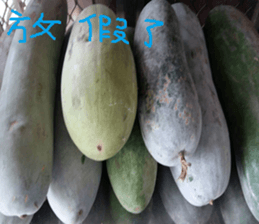 Lele nature landscape photos sticker #13878271