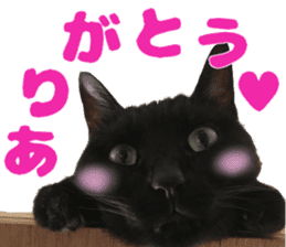 Baratanuki's cat's life sticker #13879734