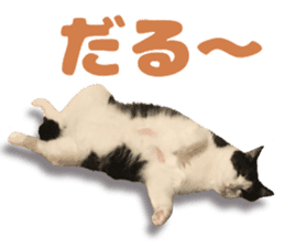 Baratanuki's cat's life sticker #13879737