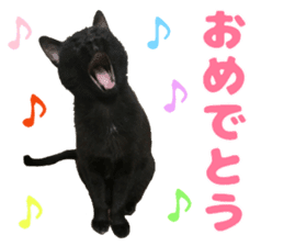 Baratanuki's cat's life sticker #13879746