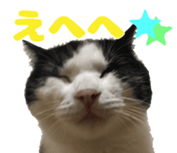 Baratanuki's cat's life sticker #13879748