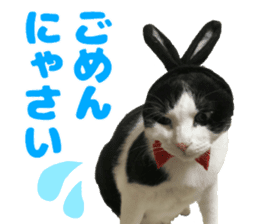 Baratanuki's cat's life sticker #13879750