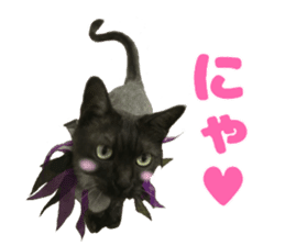 Baratanuki's cat's life sticker #13879751
