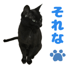 Baratanuki's cat's life sticker #13879756
