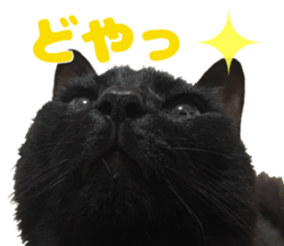 Baratanuki's cat's life sticker #13879757