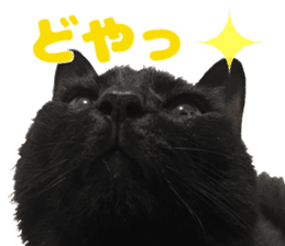 Baratanuki's cat's life sticker #13879757