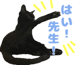 Baratanuki's cat's life sticker #13879759