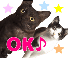 Baratanuki's cat's life sticker #13879763