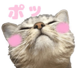 Baratanuki's cat's life sticker #13879766