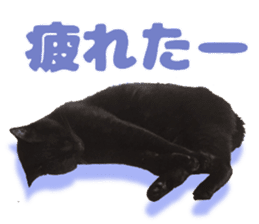 Baratanuki's cat's life sticker #13879768