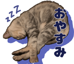 Baratanuki's cat's life sticker #13879771