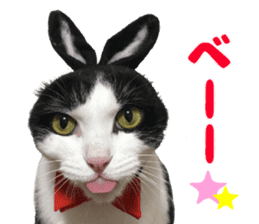 Baratanuki's cat's life sticker #13879772